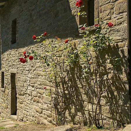 Ferienhaus Romantica *